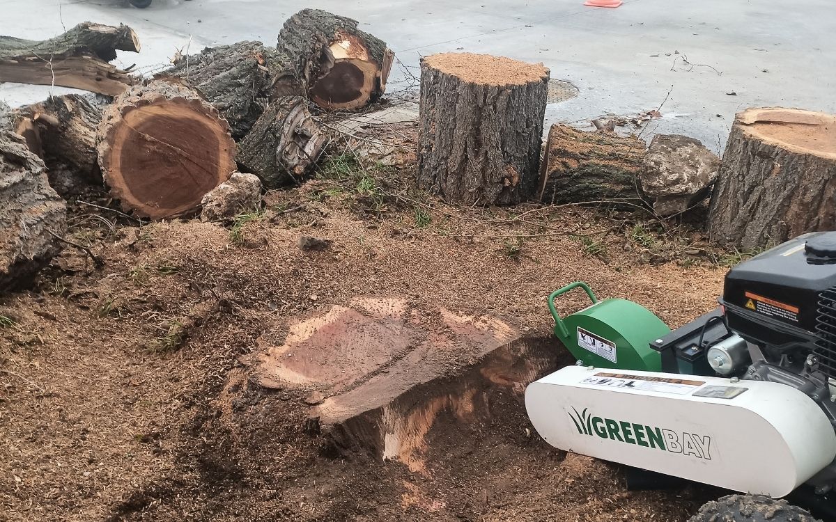 complementarios valladolid 1