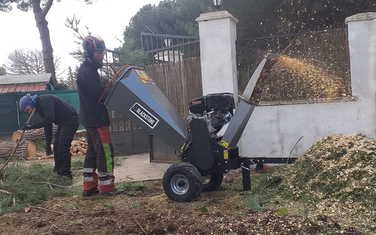 complementarios valladolid 2