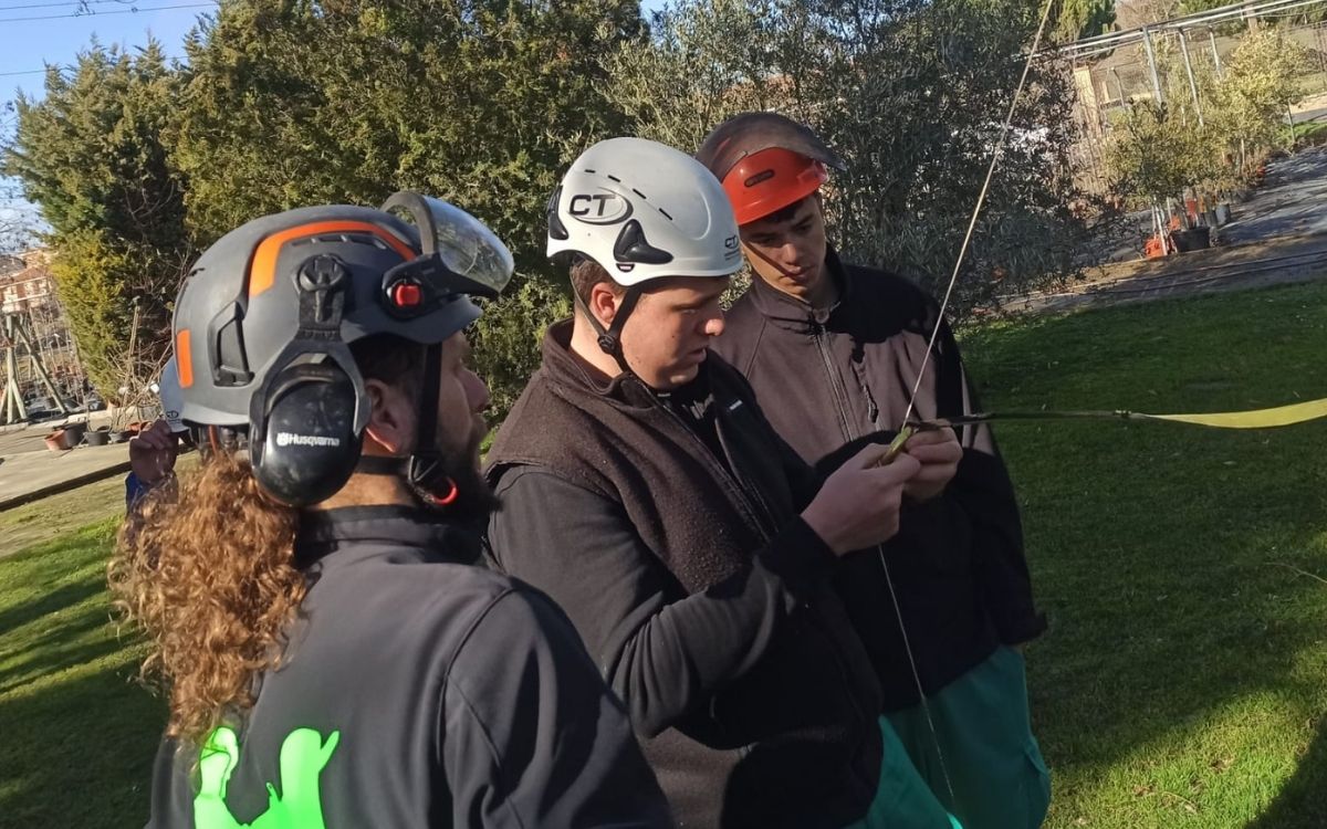 formacion arbolado valladolid 1