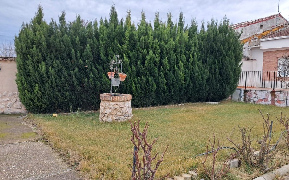 jardineria valladolid 1