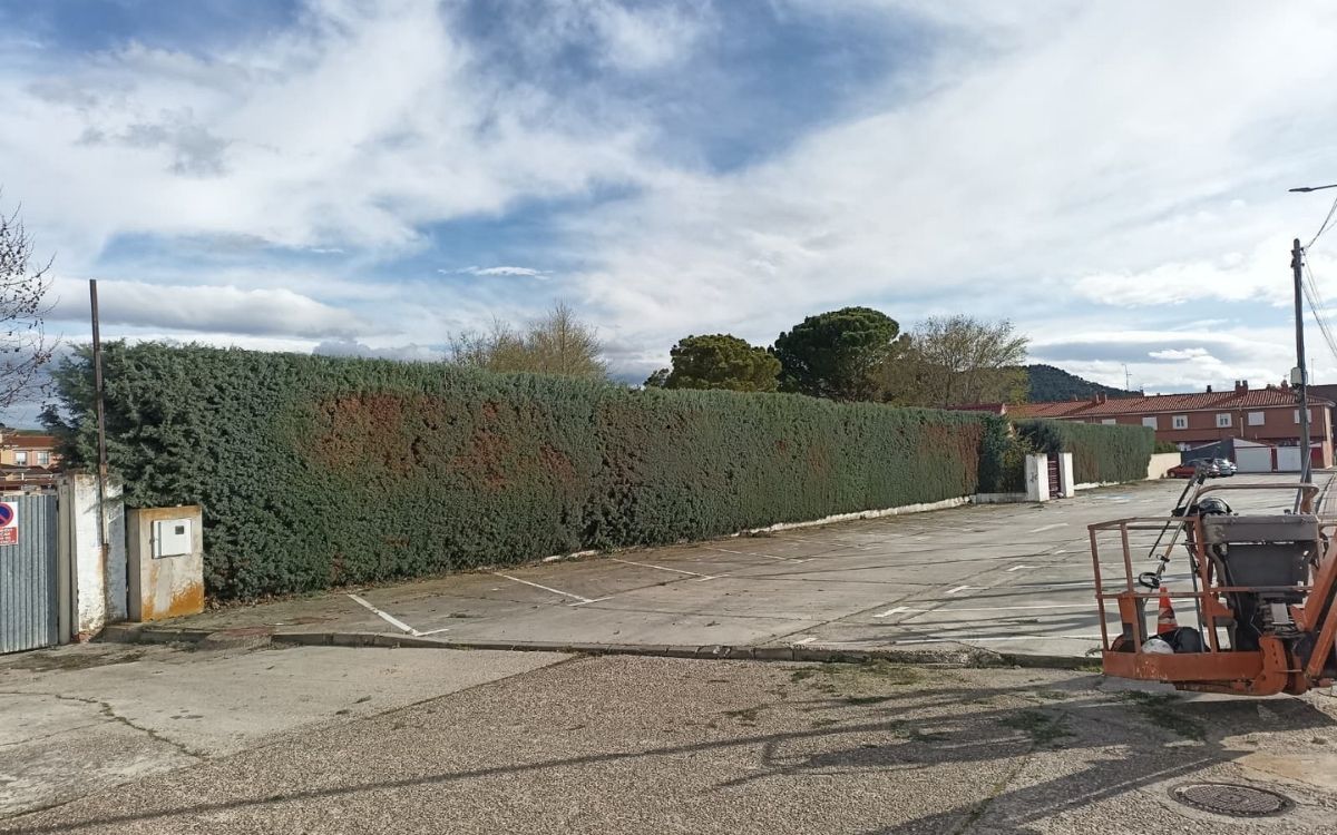 jardineria valladolid 2