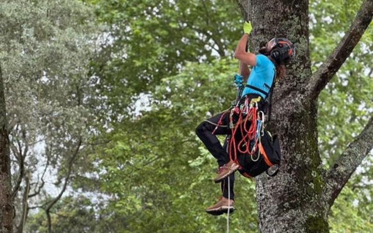 tala y poda valladolid 2